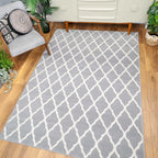 Decastro Grey Rug