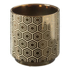 Cervantez Ceramic Pot Planter